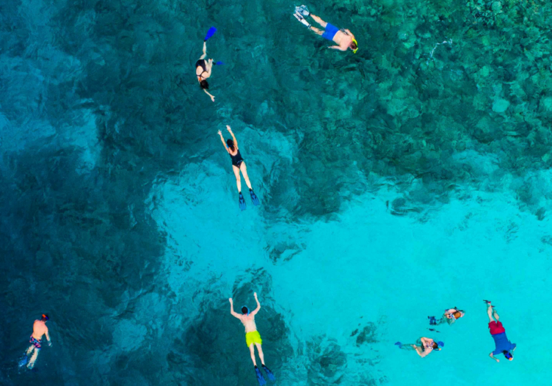 people swimming in blue and green sea