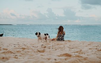 Vacanze con il cane in Croazia: Dove Andare