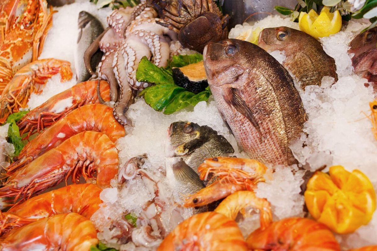 Best fish restaurants in Venice: top 5 experiences